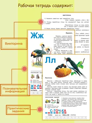 Иллюстрация 1 из 5 для Весна: задания по развитию речи у детей дошкольного  возраста - Татьяна Чохонелидзе | Лабиринт - книги. Источник: Лабиринт