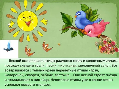 Гнездо птицы из картона с цыпочками Иллюстрация вектора для детей Весна  Иллюстрация вектора - иллюстрации насчитывающей цветасто, цвет: 157659705
