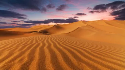 Пустыня Сахара, Марракеш - режим работы, фото, информация | Planet of Hotels