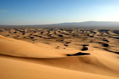 Leba пустыни стоковое фото. изображение насчитывающей смещение - 5321620