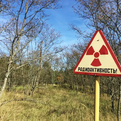 Мифы о радиации | Умная Россия