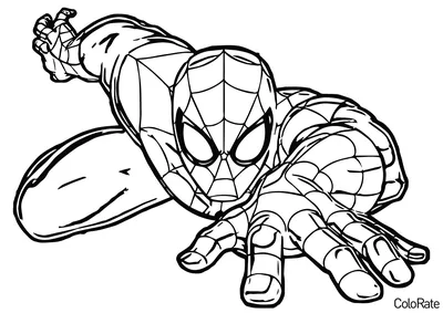 Раскраска человек-паук: пути. Раскраска Человек-паук: Нет пути домой Человек -Паук в полный рост. Черно белые раскраски.