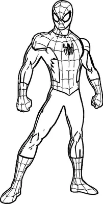 Человек паук в полный рост - Супергерои Марвел - Раскраски антистресс |  Superhero coloring, Superhero coloring pages, Spiderman coloring