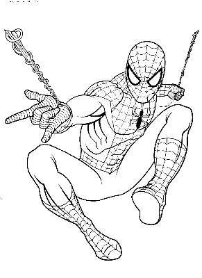 Раскраски Человек паук распечатать или скачать бесплатно в формате PDF