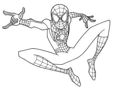 Человек паук на мотоцикле - Супергерои Марвел - Раскраски антистресс