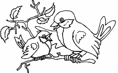 Раскраски на тему птицы (46 фото) » Картинки, раскраски и трафареты для  всех - Klev.CLUB