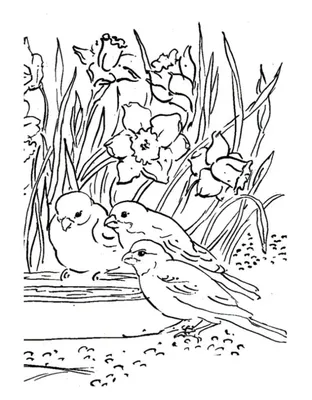 Раскраски весна для детей | Disegni di fiore da colorare, Fiori disegnati  da colorare, Disegni da colorare