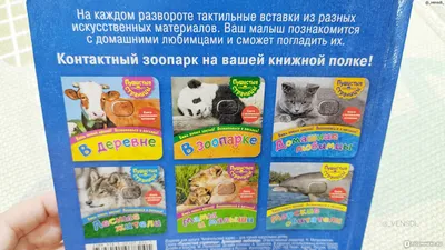 Набор животных \"Животные разных стран\" в коробке 430144 КНР - купить оптом  от 59,90 рублей | Урал Тойз