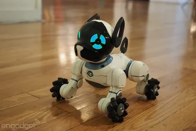 Робот собака CHIP WowWee - 0805 - WowWee 0805 | роботы с доставкой от  интернет-магазина RC-TODAY.RU