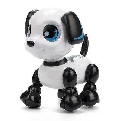 Робот-собака на р/у Smart Dog (арт. 20173-1) - купить в Харькове и с  доставкой по Украине в интернет магазине Toystory