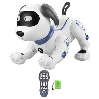 Xiaomi представила робота-собаку CyberDog 2 за $1800 — она умеет давать  лапу и делать сальто