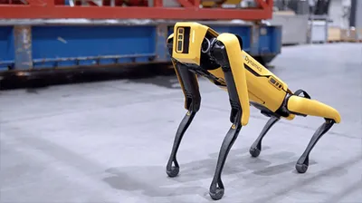 Интерактивный робот-собака Зуми розовая Zoomer Spin Master купить Москва