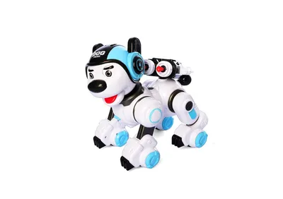 Соцсети: Робот-собака с гранатометом, показанный на «Армии 2022», — это  китайский домашний помощник с AliExpress - Росбалт