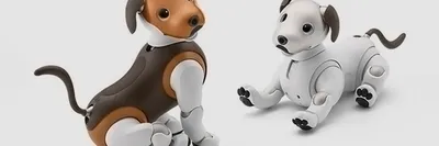 Купить Радиоуправляемый робот-собака, Интеллектуальная игрушка Stunt Dog по  самой низкой цене в Бишкеке