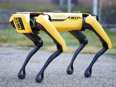 Робот Собака Чип (WowWee Chip) купить в Украине недорого, интернет-магазин  - КукляндиЯ