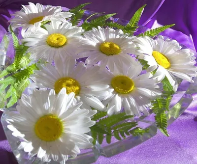 Купить красивые цветы в коробке \"Любимой мамочке\" недорого с доставкой по  Москве и МО.