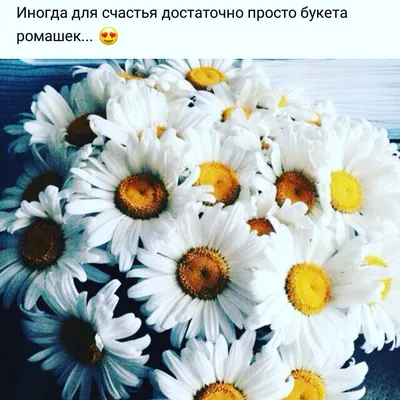 Капкейки «Цветы для любимой» с доставкой по Москве | Пироженка.рф