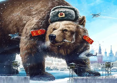 Почему русский медведь устроился на зимнюю спячку в ЭНМ? | Eesti Rahva  Muuseum