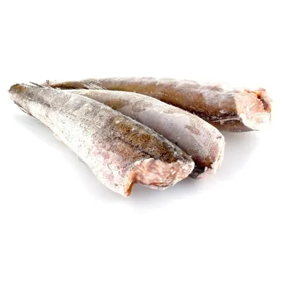 Ужасная и жуткая рыба-хек» — создано в Шедевруме