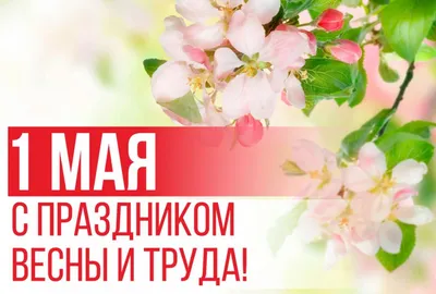 Какой сегодня праздник? Все важные даты и события 1 мая 2021 в России и мире