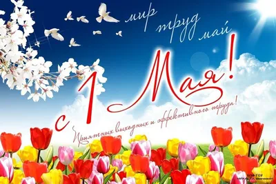Праздник Весны и Труда во Владивостоке 1 мая 2021 в Набережная Спортивной  гавани
