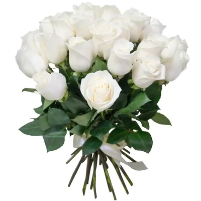 Белые розы - обои для рабочего стола, картинки, фото