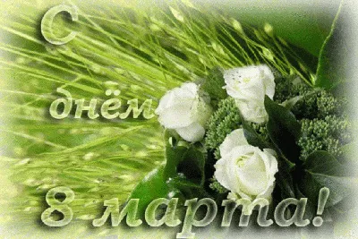 Букет 15 белых роз 70см - Доставкой цветов в Москве! 41550 товаров! Цены от  487 руб. Цветы Тут
