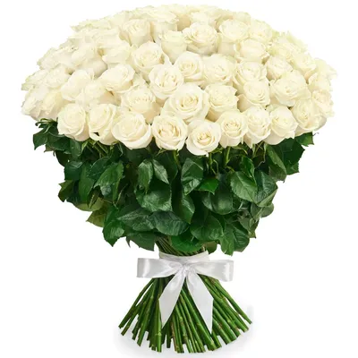Белые розы в подарок на 8 марта красивая картинка обои для рабочего стола