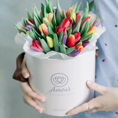 8 марта, светлые тюльпаны | Тюльпаны, Картинки, Открытки
