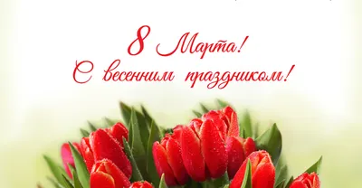 Дорогие и любимые девушки, примите от нас всех поздравления с праздником 8  марта!!!