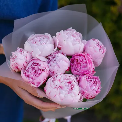 Топпер с цветами 8 марта розовые пионы - купить по выгодной цене | Shop  Konditer