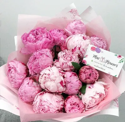 Розовые пионы в сердце от 29 шт. за 32 990 руб. | Бесплатная доставка  цветов по Москве
