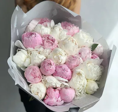 Розовые пионы в коробке от 9 шт. за 12 090 руб. | Бесплатная доставка  цветов по Москве