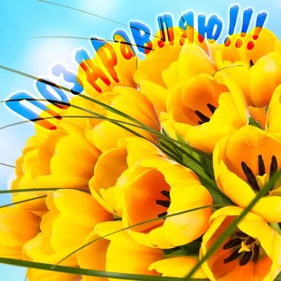 Тюльпан желтый поштучно | купить недорого тюльпаны в розницу | доставка по  Москве и области