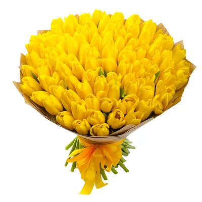 Тюльпаны на 8 Марта - Закажите Цветы с Доставкой!