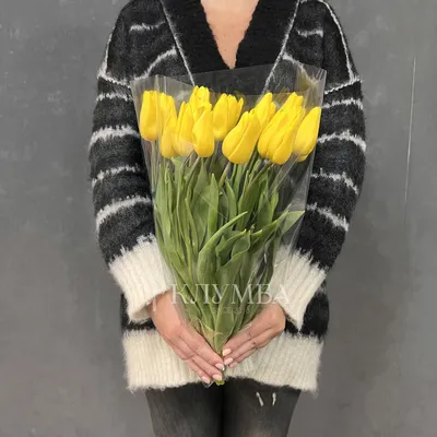 Поздравляю с 8 марта! Милый щенок и жёлтые тюльпаны. - Скачайте на Davno.ru