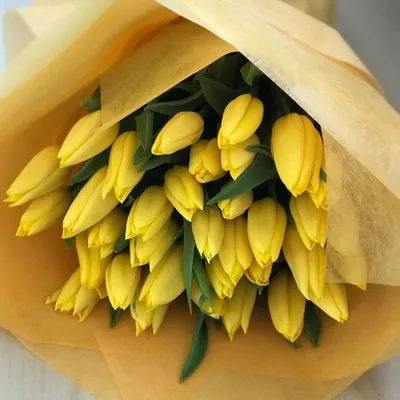 Купить желтые тюльпаны. Заказать букет жёлных тюльпанов на праздник.
