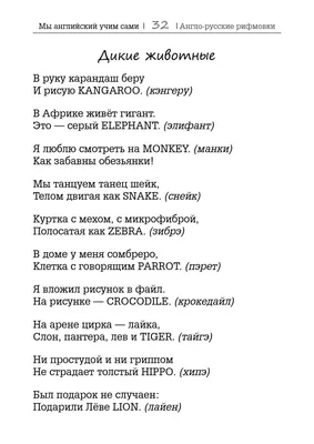 Раскраска с английскими словами: животные, фрукты и овощи, транспорт,  весёлая прогулка (набор из 4 книг) - купить с доставкой по выгодным ценам в  интернет-магазине OZON (1036914738)