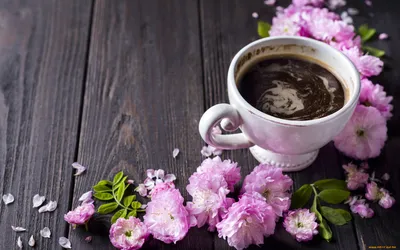 книга цветы чашка кофе и чая Фон Обои Изображение для бесплатной загрузки -  Pngtree