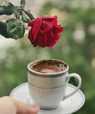 Чашка кофе и цветы - 88 фото