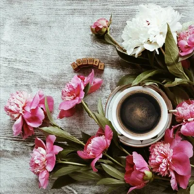 Поднос с чашкой кофе, цветами и женскими аксессуарами на цветном фоне ::  Стоковая фотография :: Pixel-Shot Studio