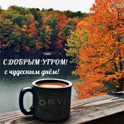 Картинка с надписями ДОБРОЕ УТРО! ЧУДЕСНОГО ДНЯ! - поздравляйте бесплатно  на otkritochka.net
