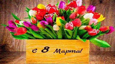 Праздник 8 МАРТА March 8 Очень красивые поздравления женским днем 8 март...  | Открытки, Праздник, Март