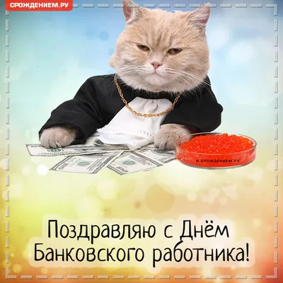 Смешная открытка с Днём Банковского работника, с котом, икрой и деньгами •  Аудио от Путина, голосовые, музыкальные