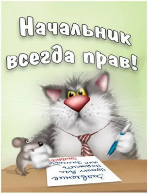 День шефа — яркие открытки на украинском языке и поздравления в прозе и  стихах — Разное