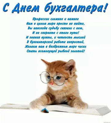 Поздравление главы Администрации Боковского района с Днем бухгалтера в  России | Еженедельная общественно-политическая газета Боковского района  Ростовской области