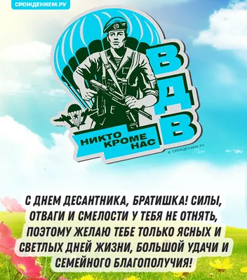 Воронежских десантников поздравили с Днем ВДВ