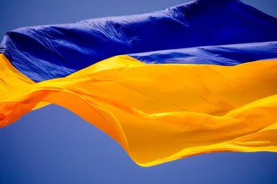 С Днем Государственного флага Украины! - Prima-Vertebra