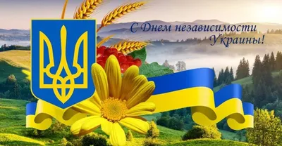 День Государственного Флага Украины 2022: красивые поздравления в  картинках, стихах и прозе - МЕТА
