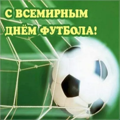 10 декабря — Всемирный день футбола! — Федерація футболу міста Миколаєва